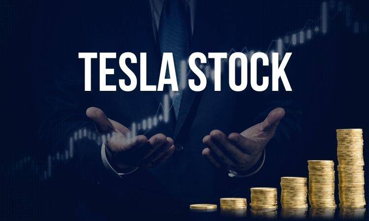 How to own Elon Musk's Tesla stock in 2023 (An Easy Guide)