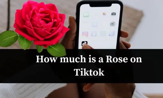 How much is a Rose on Tiktok